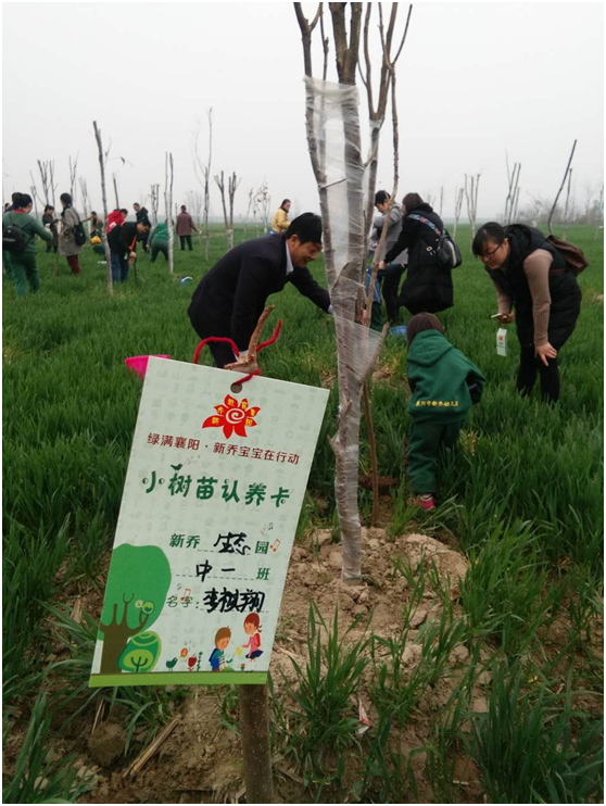 参与植树活动的新乔宝宝均可认领两棵"小树苗",与爸爸妈妈,小伙伴